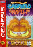 Garfield Caught in the Act 
        
            Sega Genesis