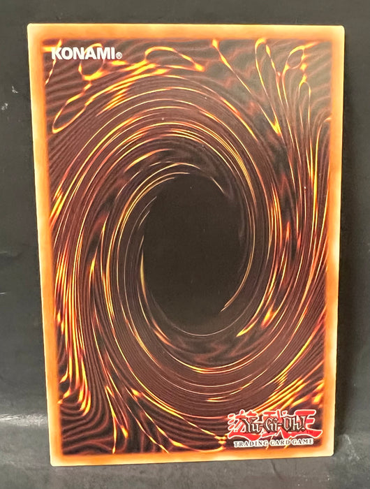 Baxia, Brightness of the Yang Zing (UTR) DUEA-EN051 1ST Edition - Duelist Alliance (DUEA) - Near Mint