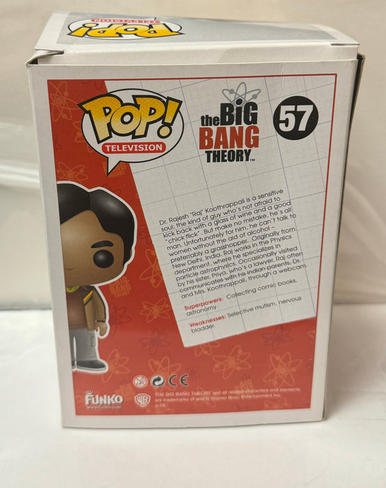 The Big Bang Theory: Raj Koothrappali #57 - In Box - Funko Pop