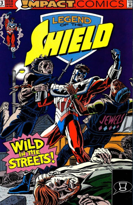 Legend of the Shield #3 (1991)