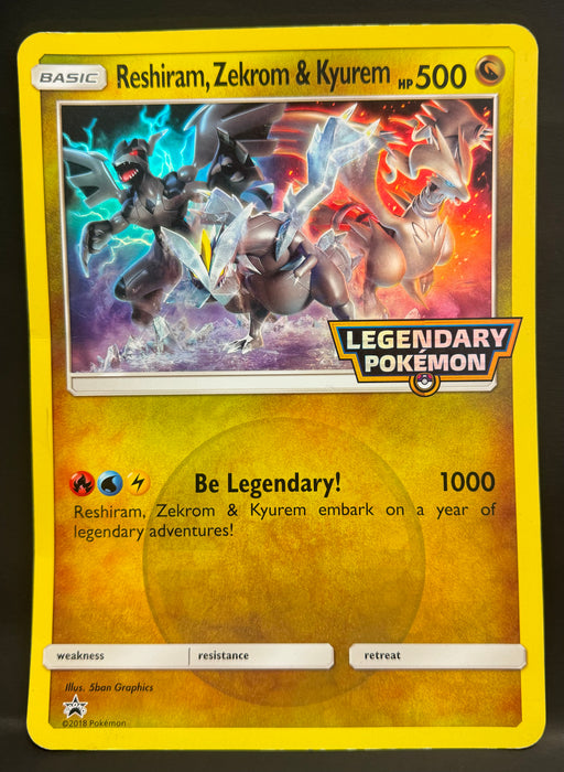 Reshiram, Zekrom & Kyurem - Jumbo Cards (PR) - Lightly Played