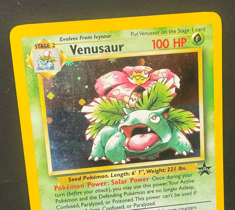 Venusaur 13 - WoTC Promo (PR) - Lightly Played