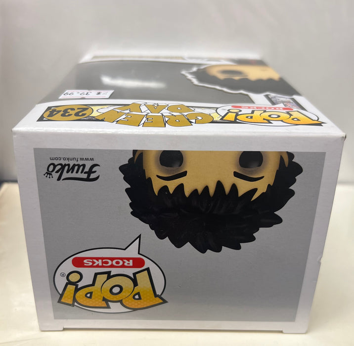 Green Day: Billie Joe Armstrong #234 - With Box - Funko Pop