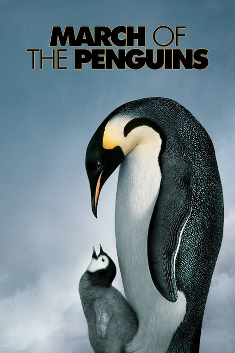 March of the Penguins (Full Screen Edition) (2005) - DVD