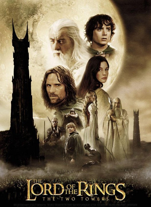 The Lord of the Rings: The Two Towers (2002) - DVD