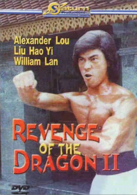 Revenge Of The Dragon II (2004) - DVD